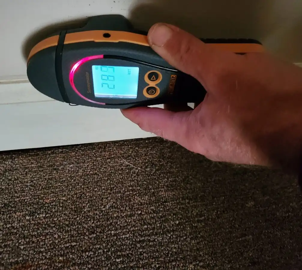 Moisture detection at baseboard during Sewage Cleanup & Sanitation in Byron
